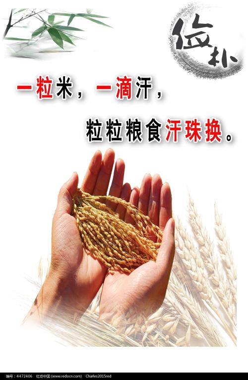 办理拉脱维亚驾照